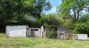 Photo 3- click for photo gallery